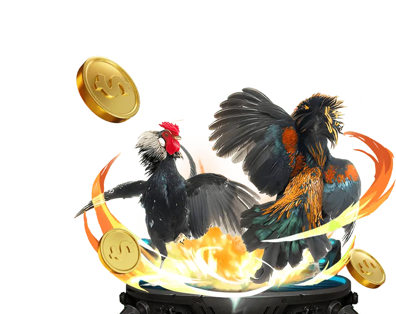 Giao diện đặt cược đá gà trực tuyến trên Vn365